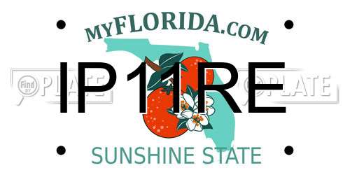 IP11RE Florida License Plate