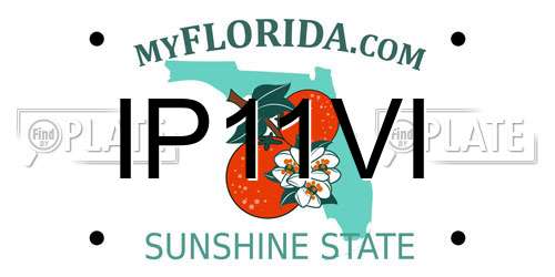 IP11VI Florida License Plate