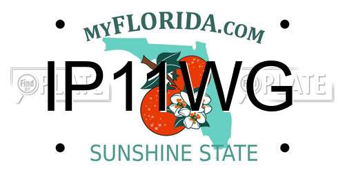 IP11WG Florida License Plate