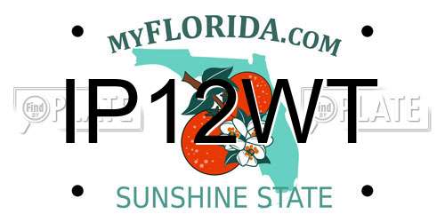 IP12WT Florida License Plate