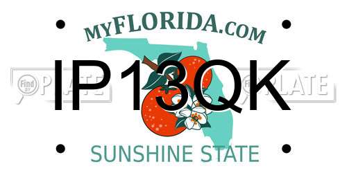 IP13QK Florida License Plate