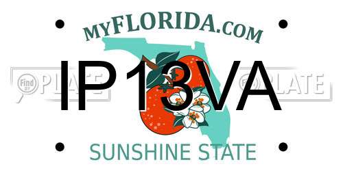 IP13VA Florida License Plate