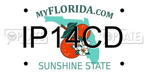 IP14CD Florida License Plate