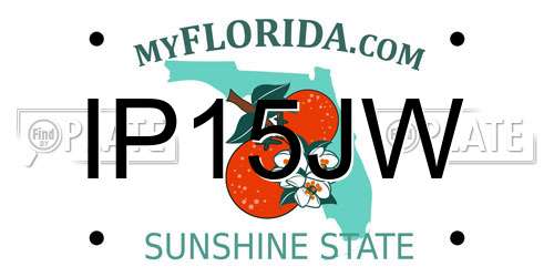 IP15JW Florida License Plate