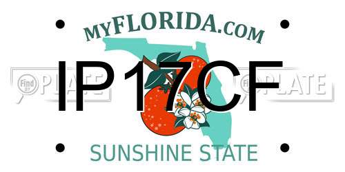 IP17CF Florida License Plate