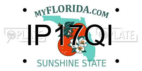IP17QI Florida License Plate