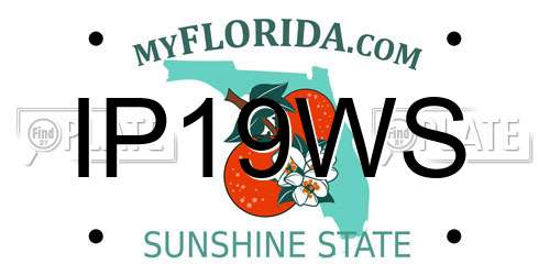 IP19WS Florida License Plate