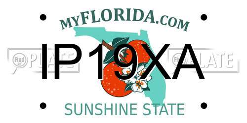 IP19XA Florida License Plate