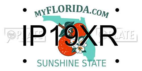 IP19XR Florida License Plate