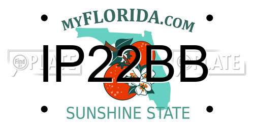 IP22BB Florida License Plate