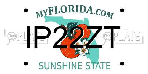 IP22ZT Florida License Plate