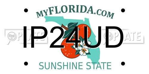 IP24UD Florida License Plate
