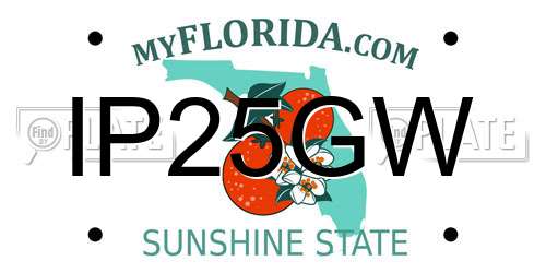 IP25GW Florida License Plate