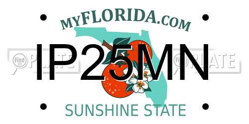 IP25MN Florida License Plate