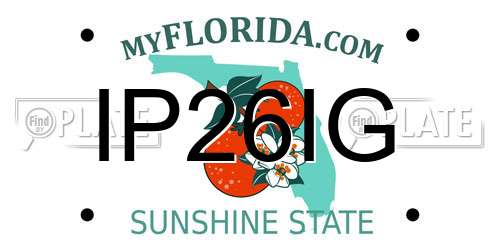IP26IG Florida License Plate