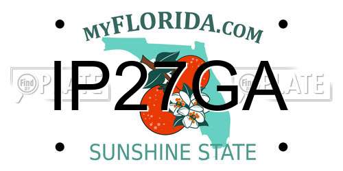 IP27GA Florida License Plate