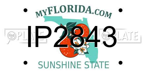 IP2843 Florida License Plate
