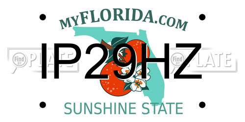 IP29HZ Florida License Plate