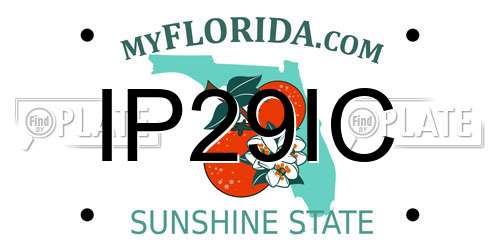 IP29IC Florida License Plate