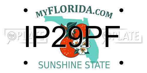 IP29PF Florida License Plate