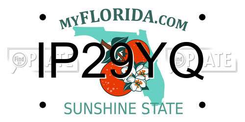 IP29YQ Florida License Plate