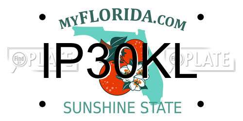 IP30KL Florida License Plate