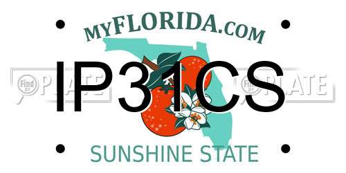 IP31CS Florida License Plate