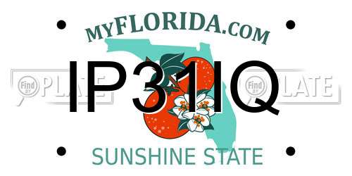IP31IQ Florida License Plate