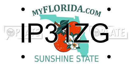IP31ZG Florida License Plate
