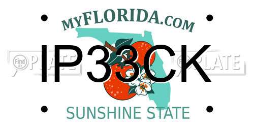 IP33CK Florida License Plate