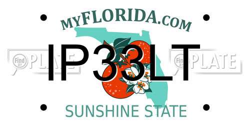 IP33LT Florida License Plate
