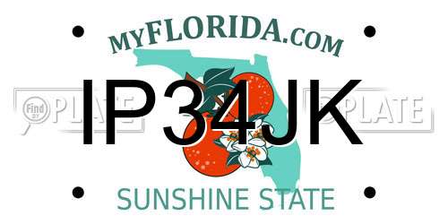 IP34JK Florida License Plate