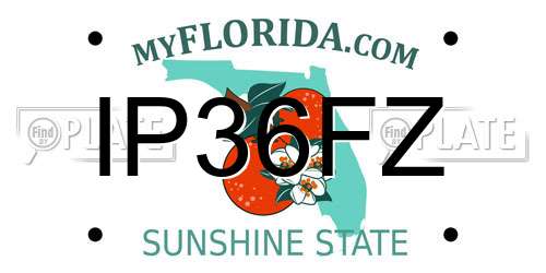 IP36FZ Florida License Plate