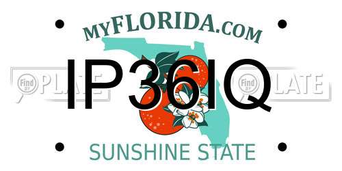 IP36IQ Florida License Plate