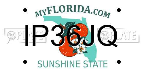 IP36JQ Florida License Plate