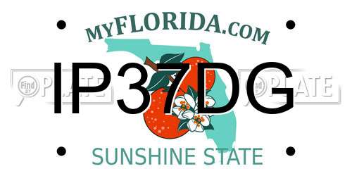 IP37DG Florida License Plate