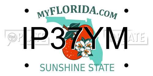 IP37YM Florida License Plate