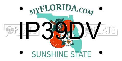 IP39DV Florida License Plate