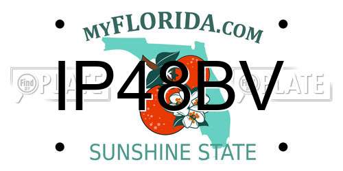 IP48BV Florida License Plate