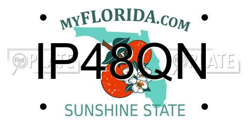 IP48QN Florida License Plate