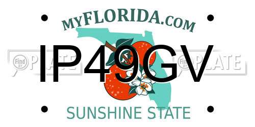 IP49GV Florida License Plate