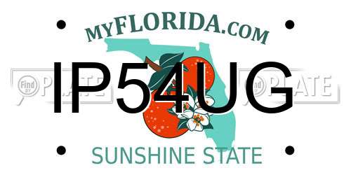 IP54UG Florida License Plate
