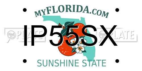 IP55SX Florida License Plate