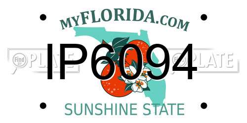 IP6094 Florida License Plate