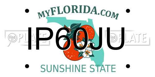 IP60JU Florida License Plate