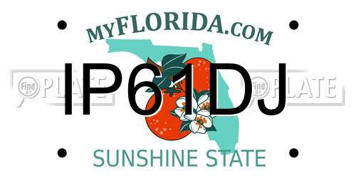 IP61DJ Florida License Plate