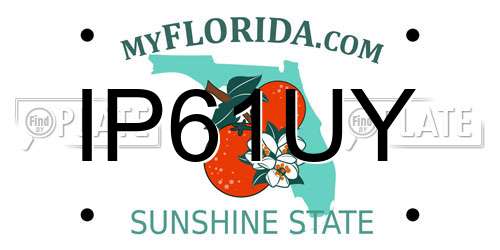 IP61UY Florida License Plate