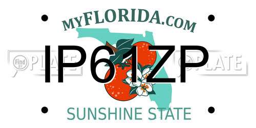 IP61ZP Florida License Plate