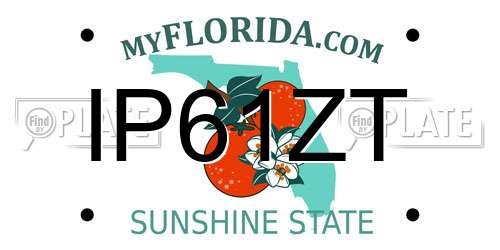 IP61ZT Florida License Plate
