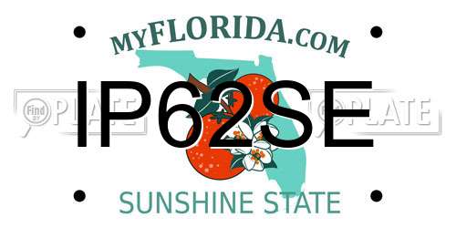 IP62SE Florida License Plate